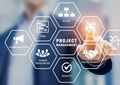 Project/Program Management